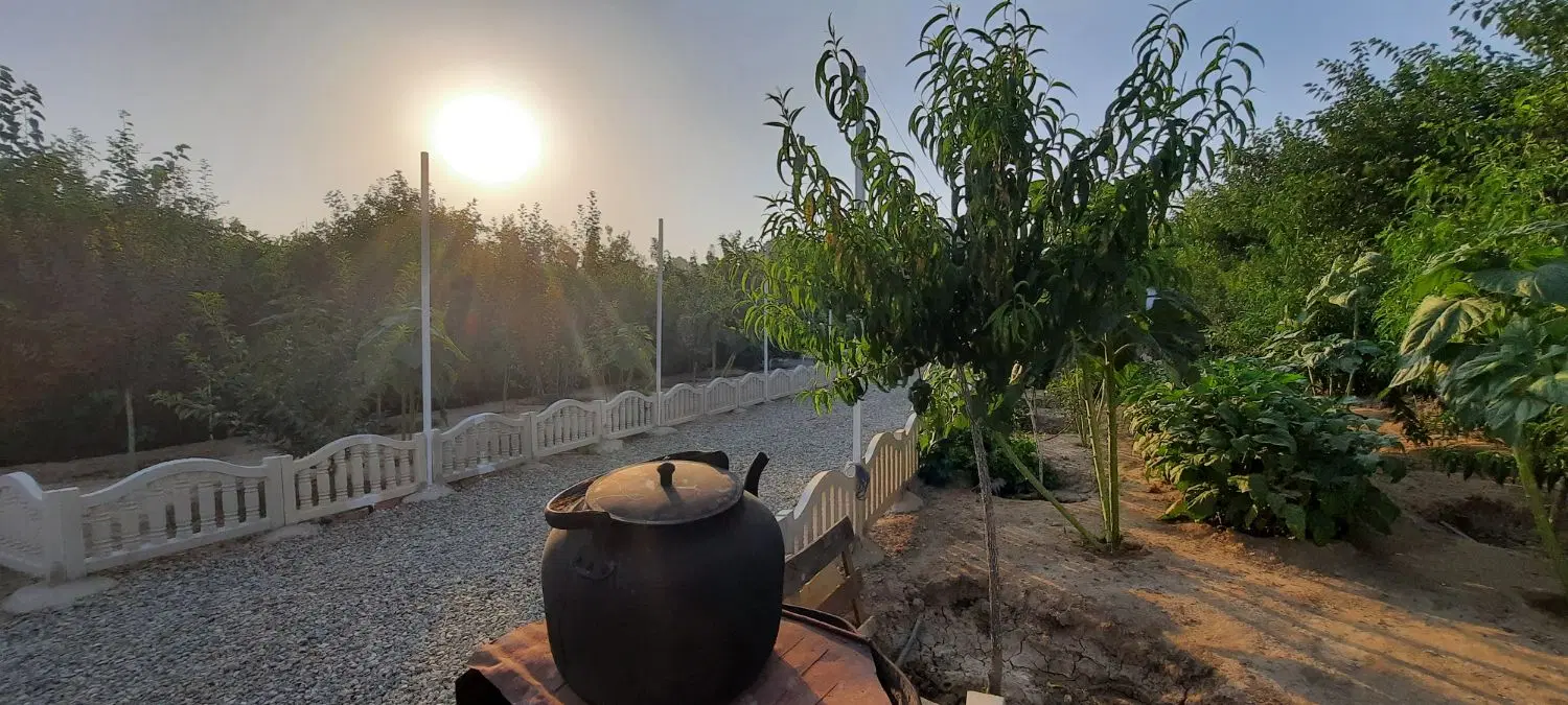 540متر باغچه