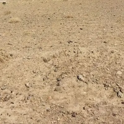 زمین مسکونی بنیادی پشت شهرک صنعتی دهنو