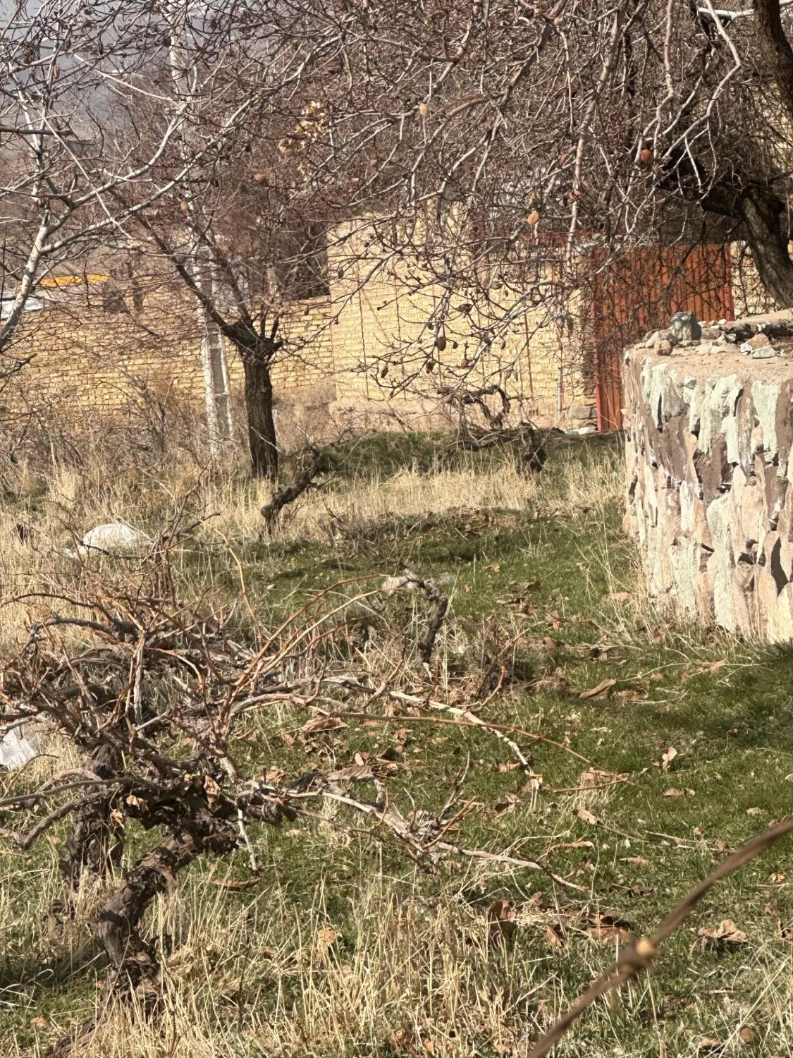 زمین ۱۵۰ متری در روستای توریستی گردشگری الولک