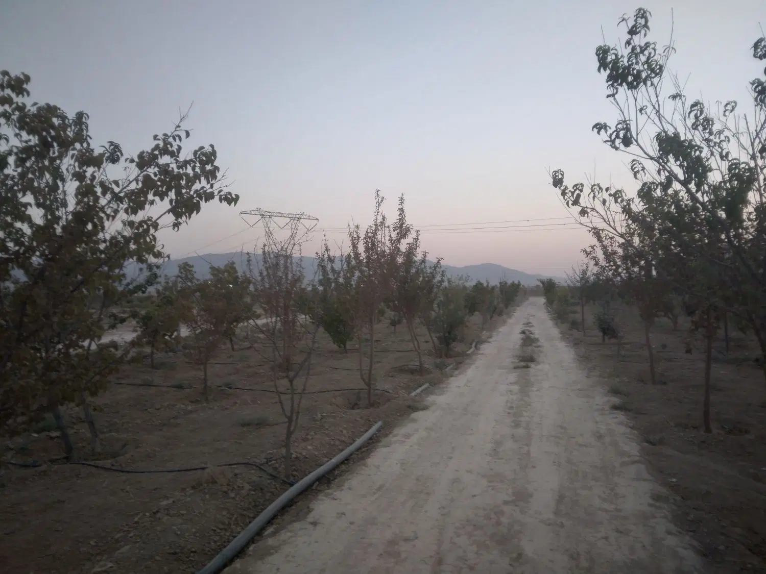 فروش زمین باغی ویلایی