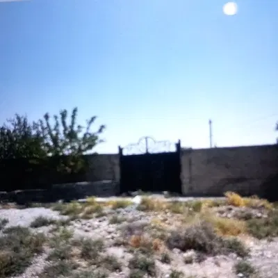 زمین باغی
