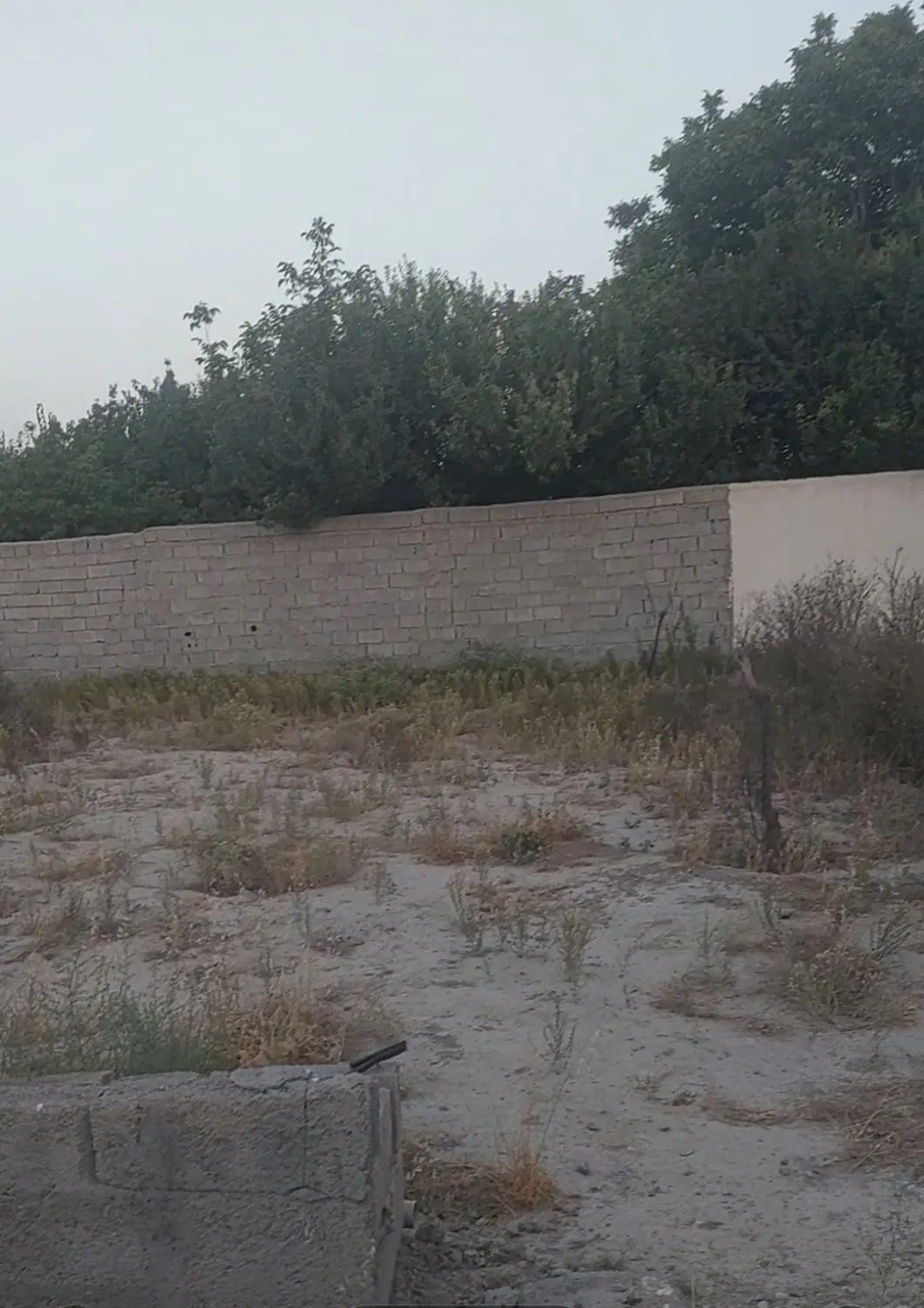 250 متر زمین جهت احداث باغچه