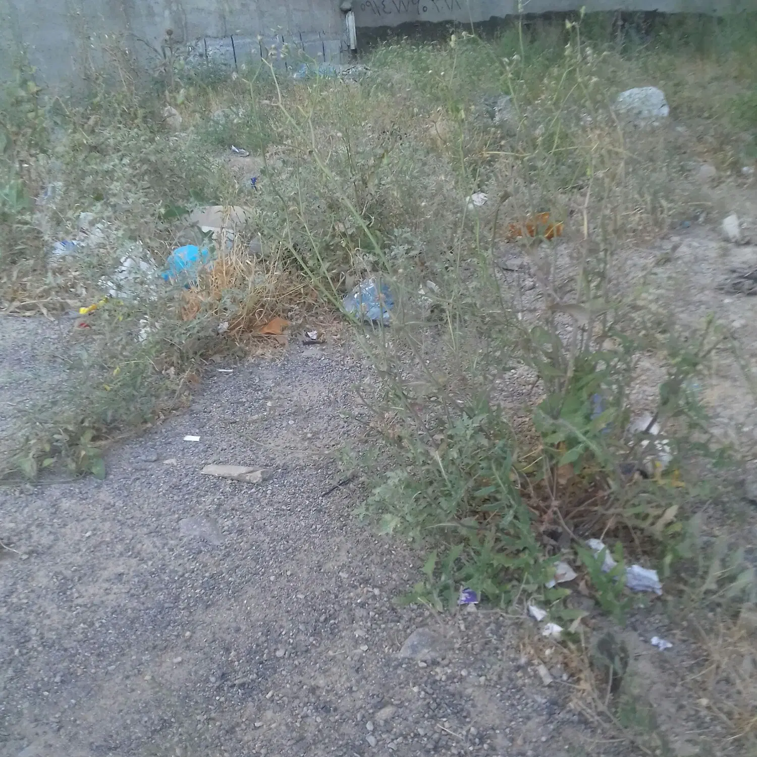 سلام زمین فروشی  درروستای چورزق