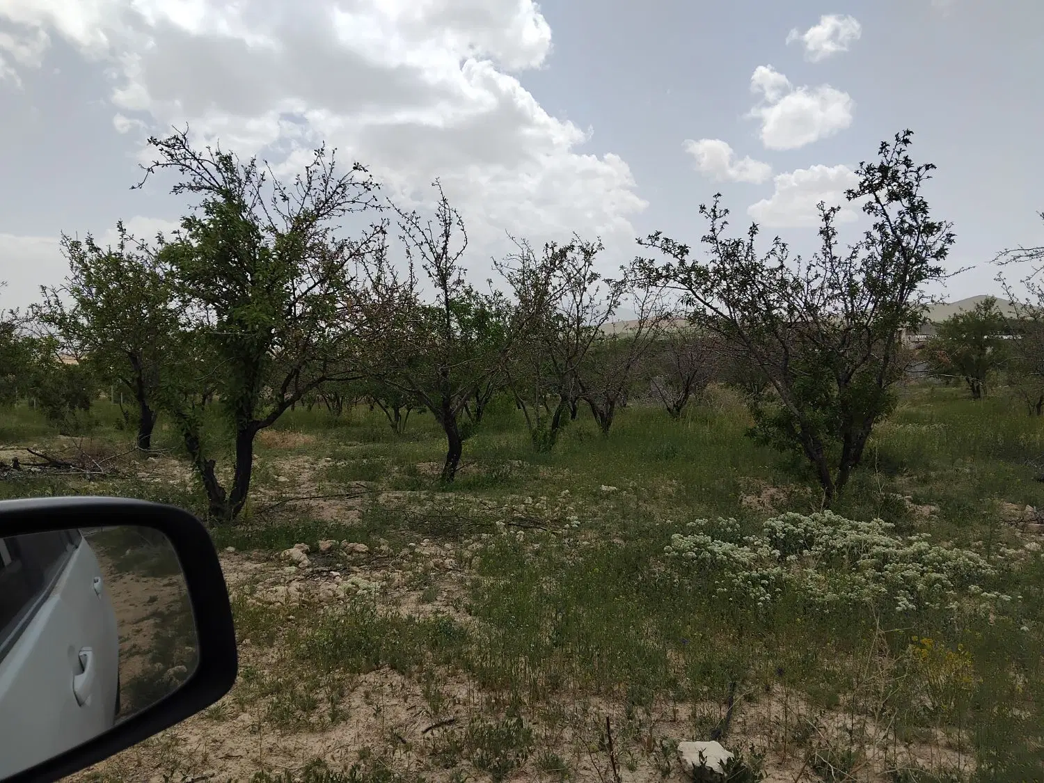 فروش باغ ۷۰۰متری و۵۰۰متری درشوراب سامان