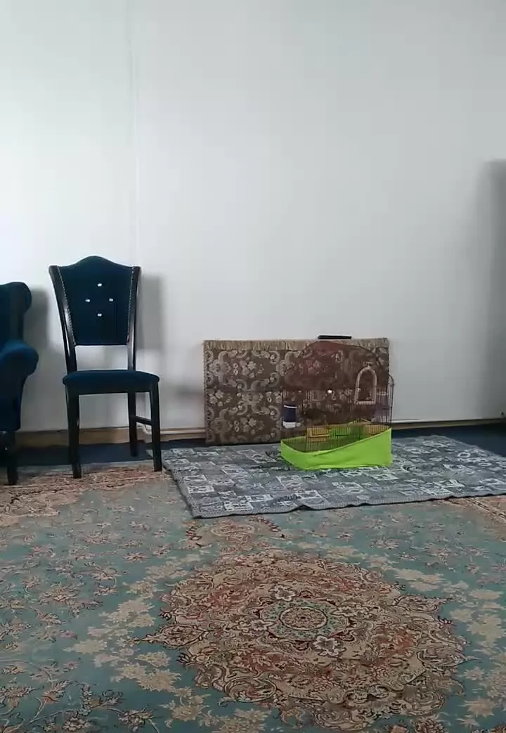 اجاره روزانه وساعتی خانه ویلایی باقیمت مناسب