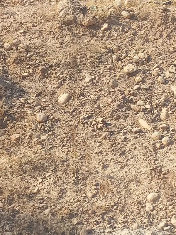 زمین مسکونی چنارستان