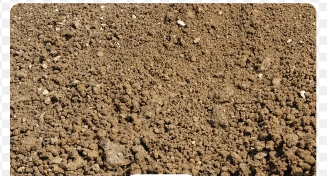 زمین‌باغی‌خوش‌جا