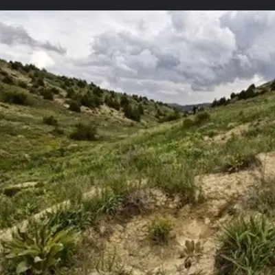 زمین منابع طبیعی گل نقشه