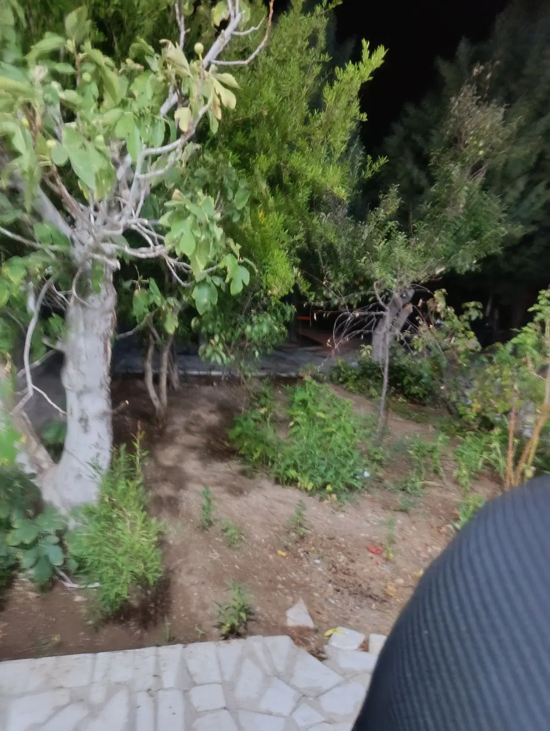فروش ۱۰۰۰ متر باغشهری