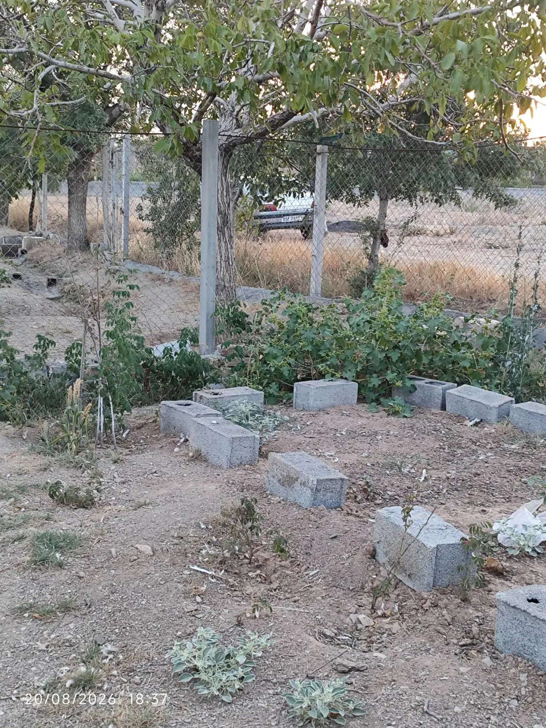مستقل
