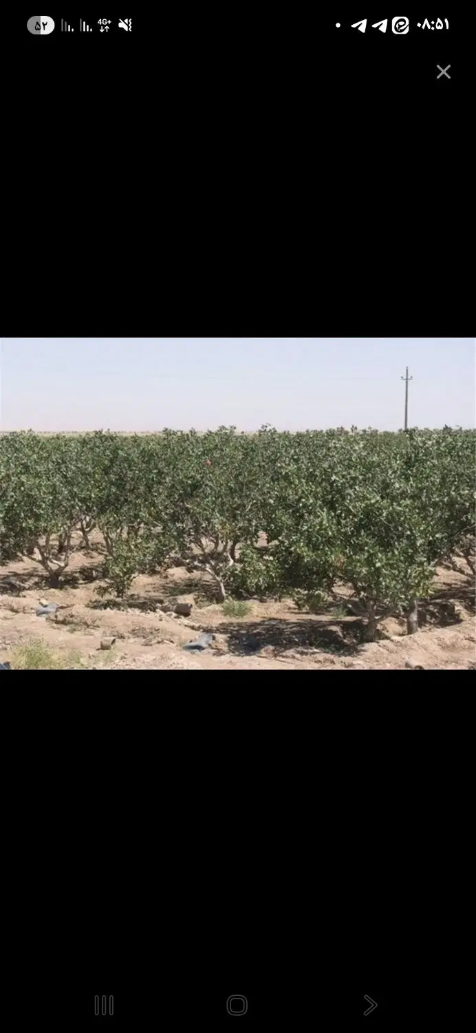 زمین