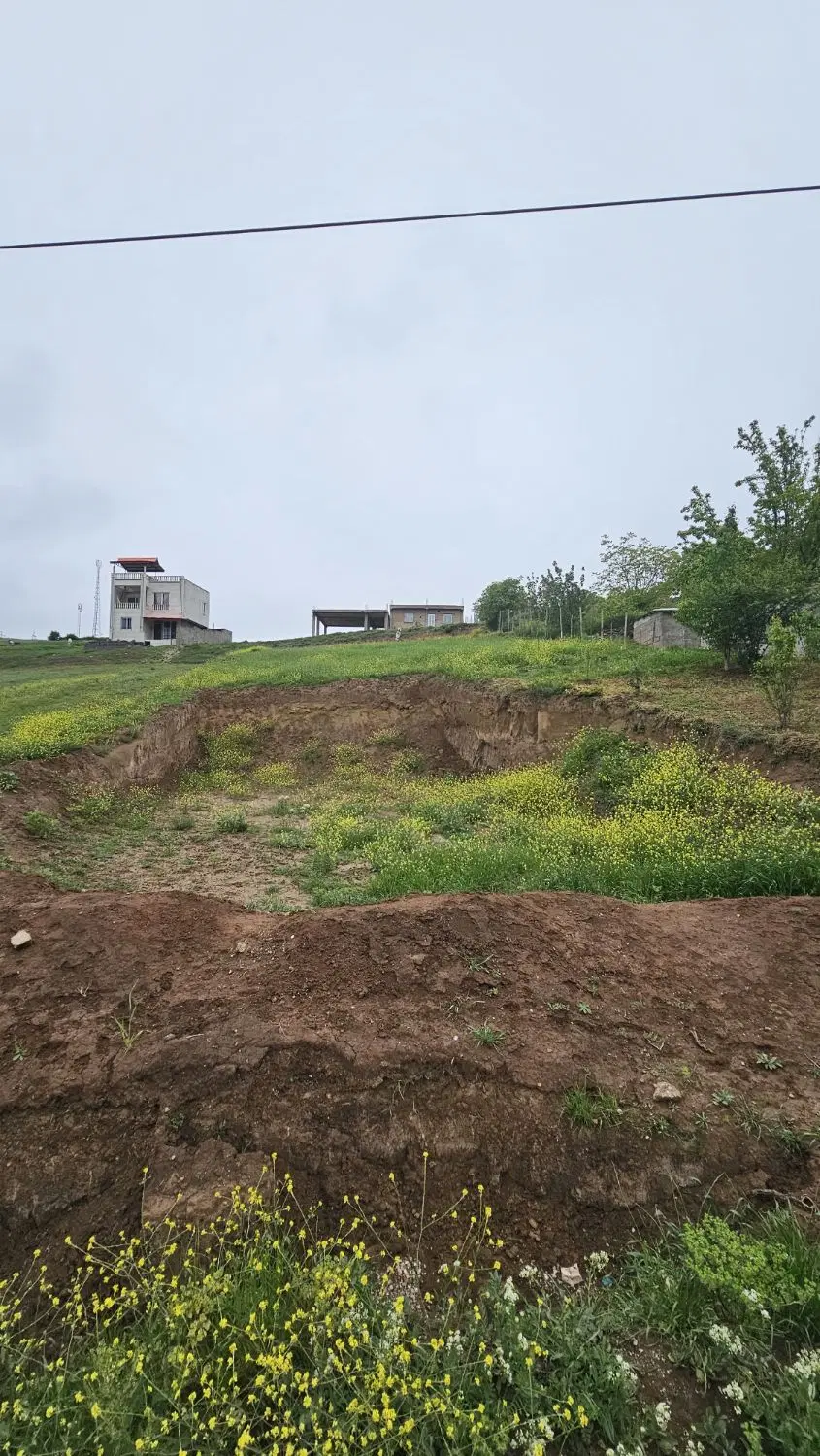 زمین ویلایی در بافت روستا، روستای قلعه قافه