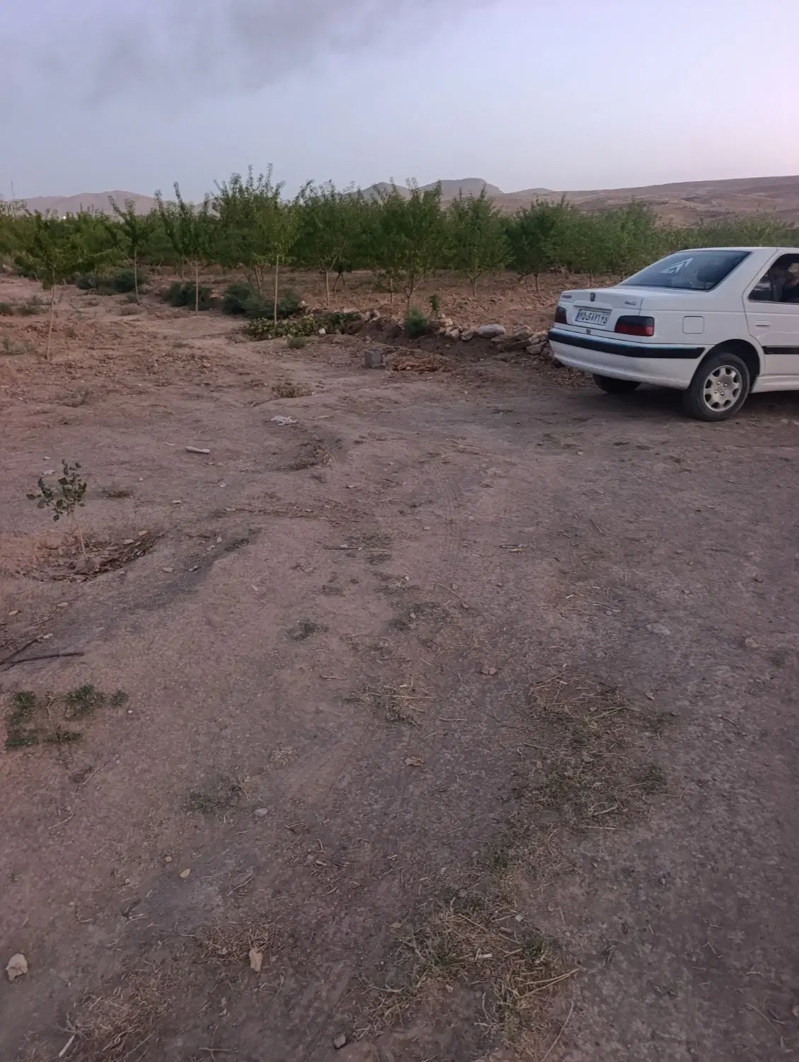 فروش ملک
