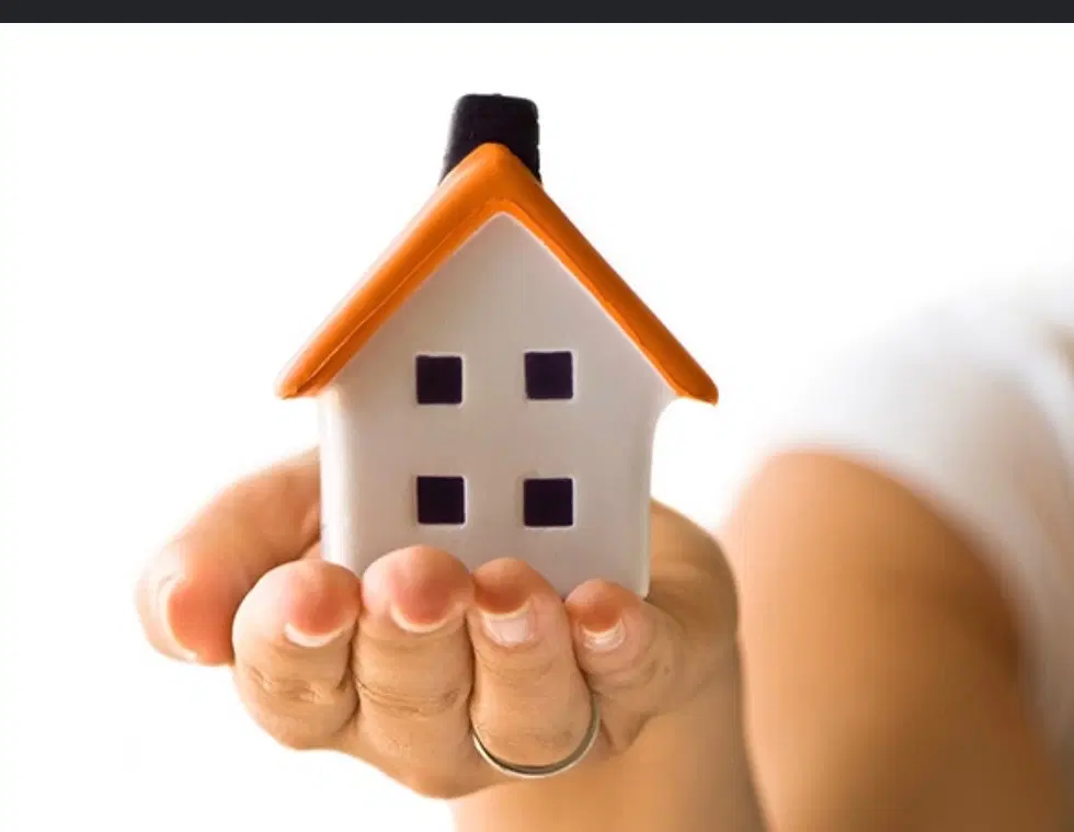 فروش زمین خالی