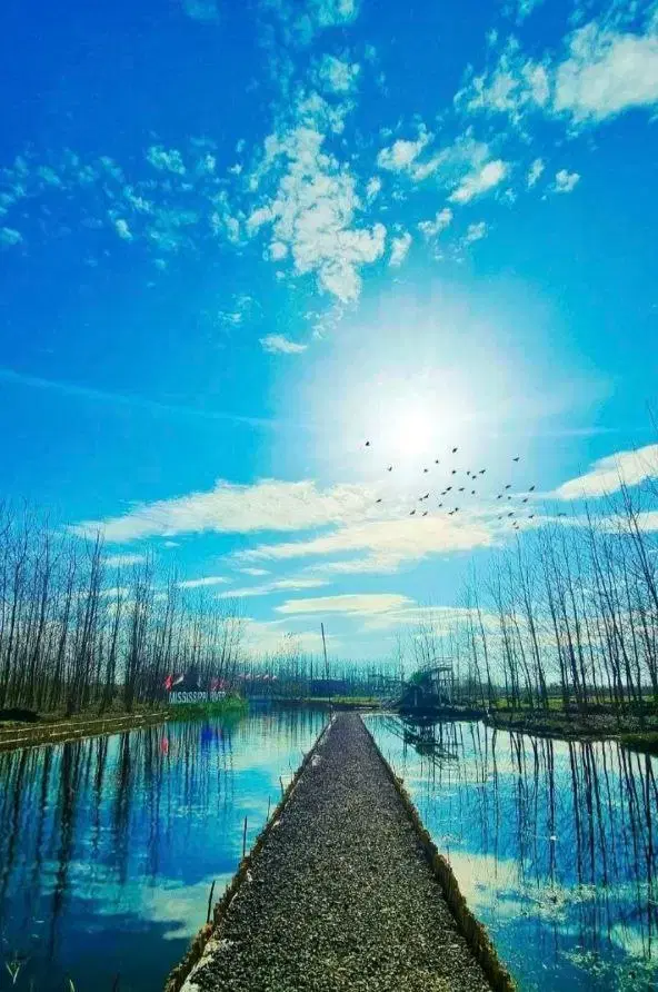 ویلای  جنگلی _  محیط امن_   فول امکانات