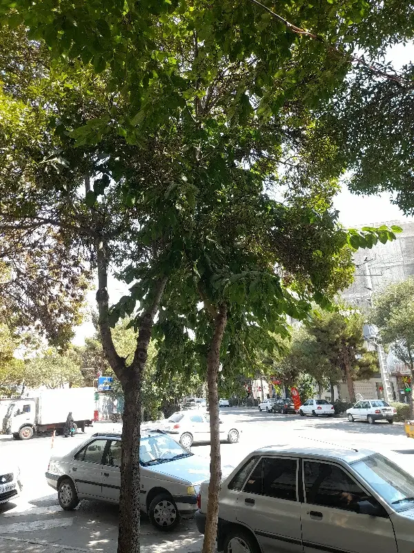 ۱۰۰۰ متر زمین ویلاسازی معاوضه با موتور