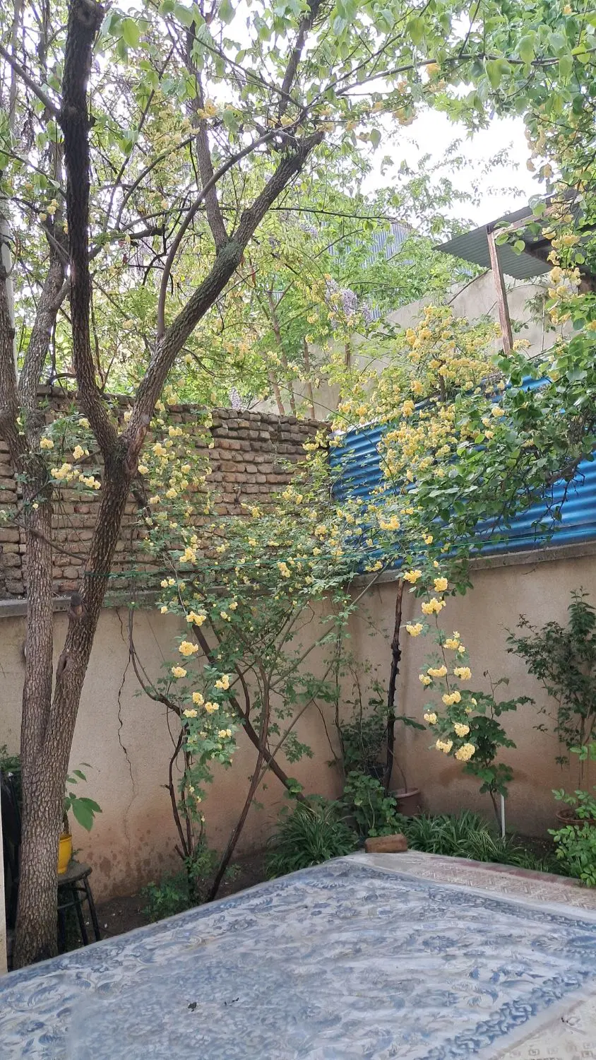 فروش زمین مسکونی
