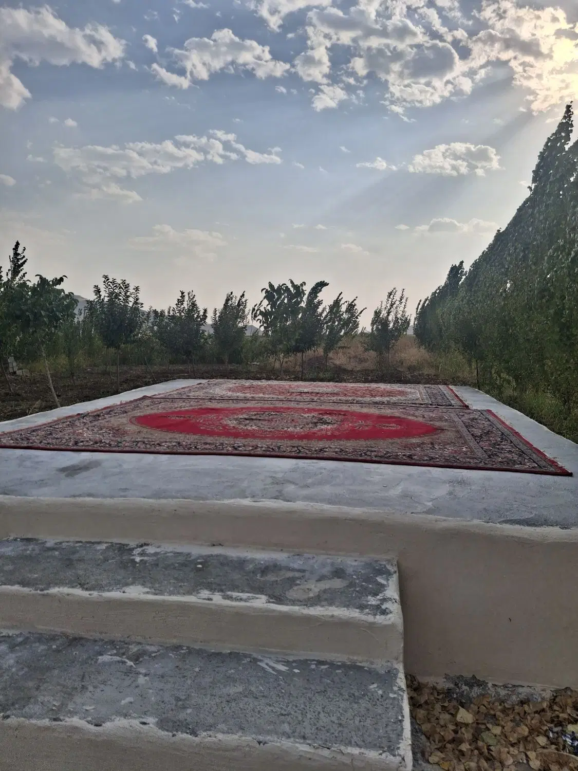 باغچه و باغ ۱۰۰۰متری