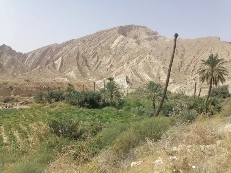 زمین 200 متر پهلوانکشی