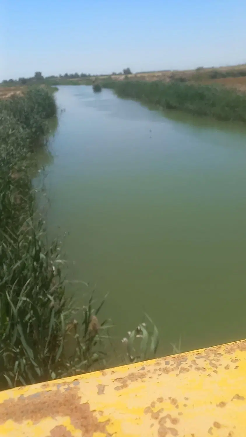 زمین کشاورزی به مساحت ۳۰۰هکتار