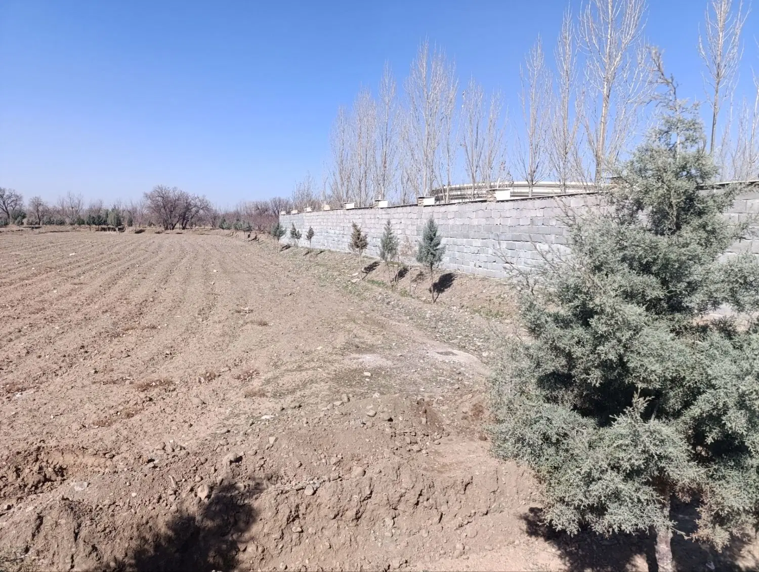 زمین خوش قواره