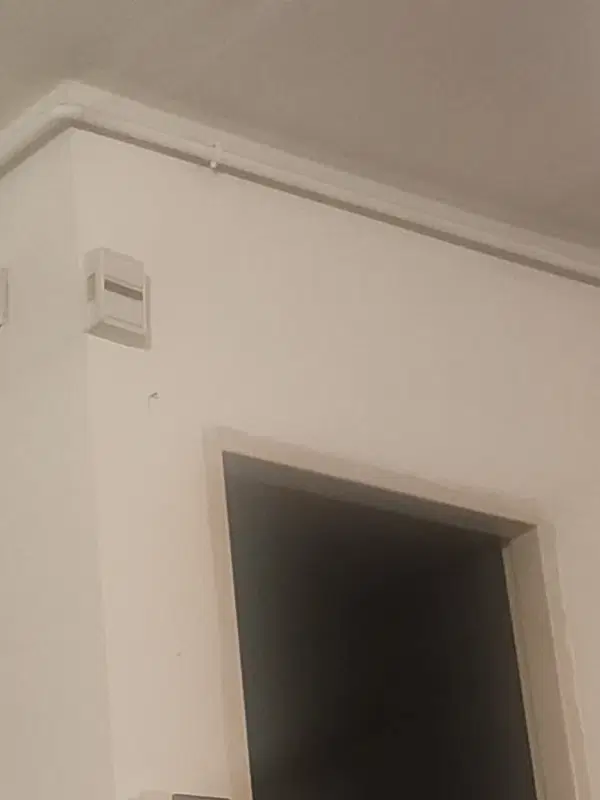 همخانه(همخونه)