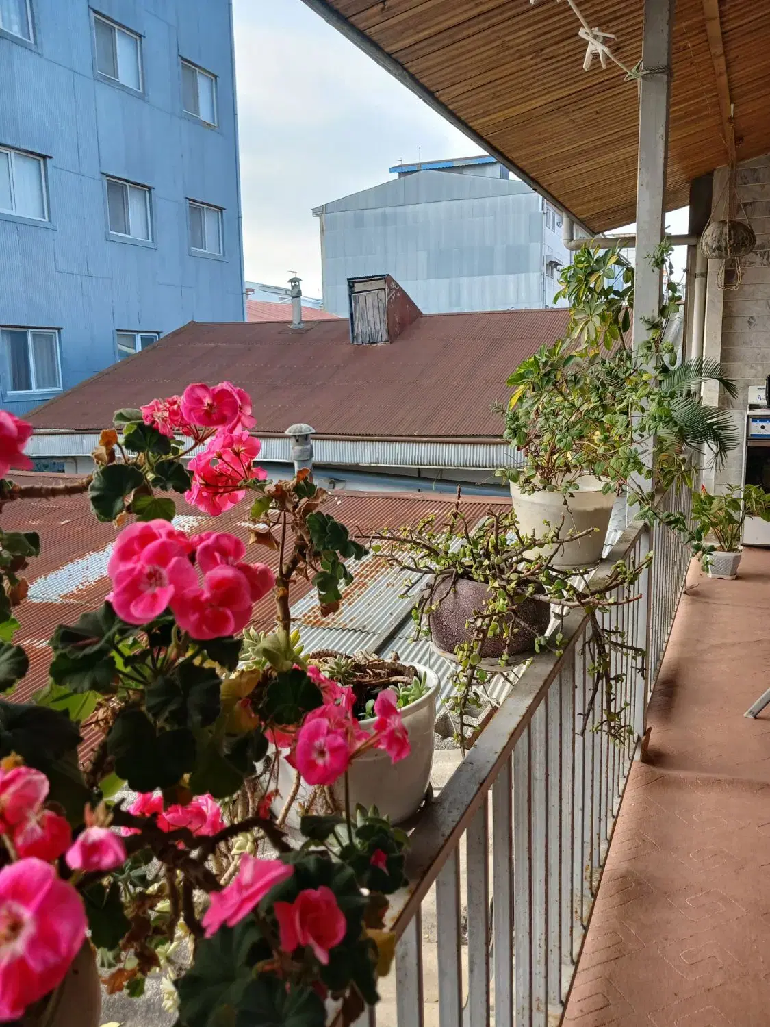 ویلایی ۳۰۰ متری