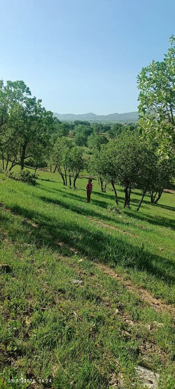 ۲۵۰ متر زمین مسکونی در شهرک نادی