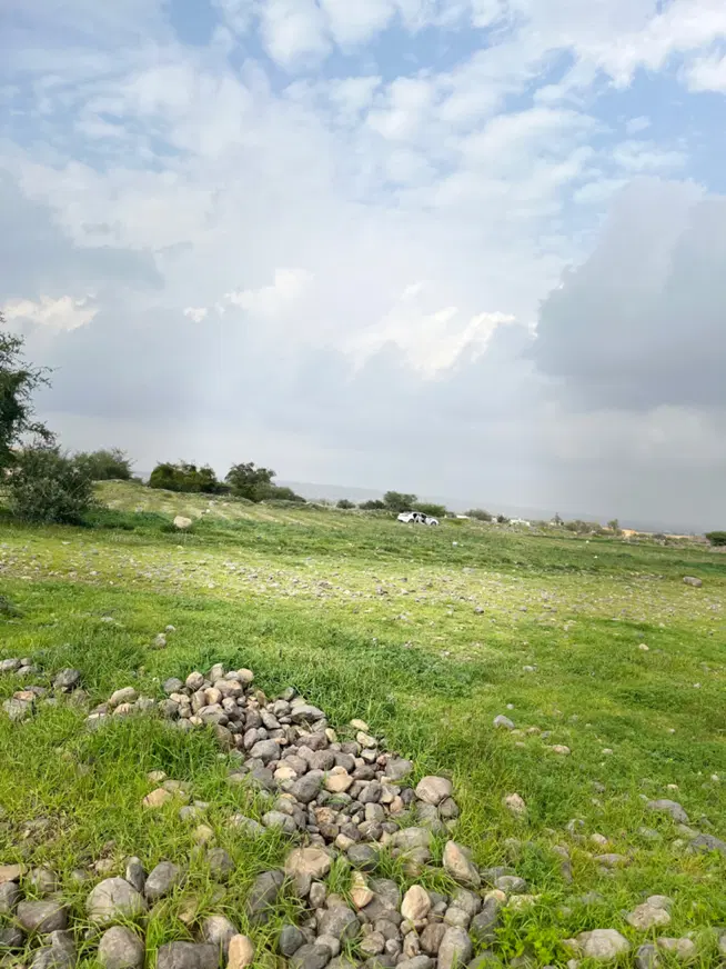 زمین مسکونی