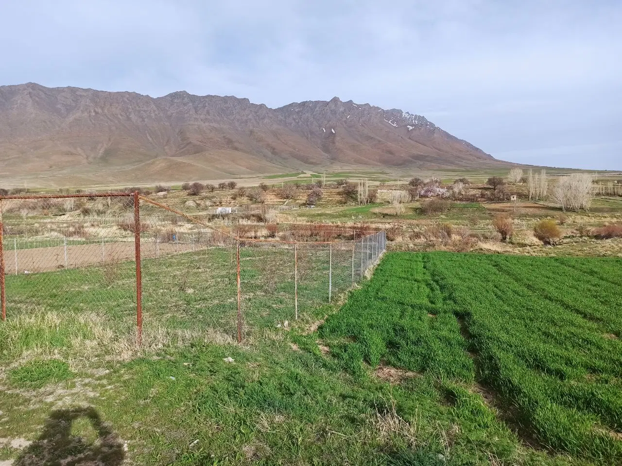 باغ سه ساله آستانه