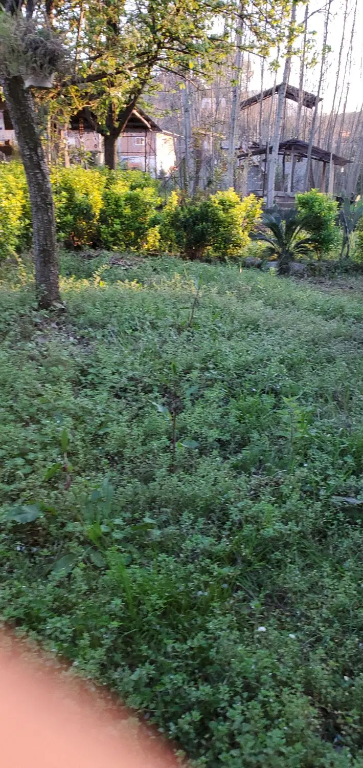 زمین مسکونی ۳۲۵ متر مربع پاسداران