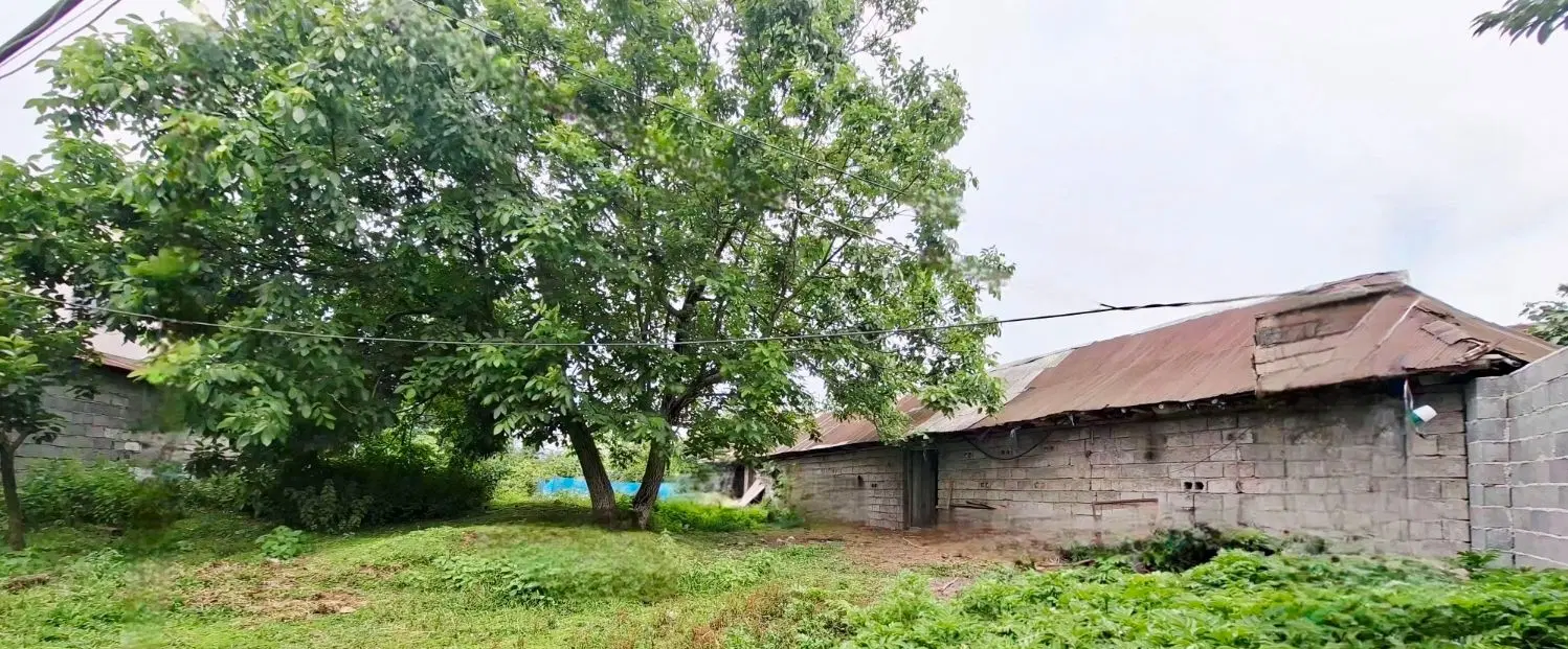 زمین مسکونی سند دار