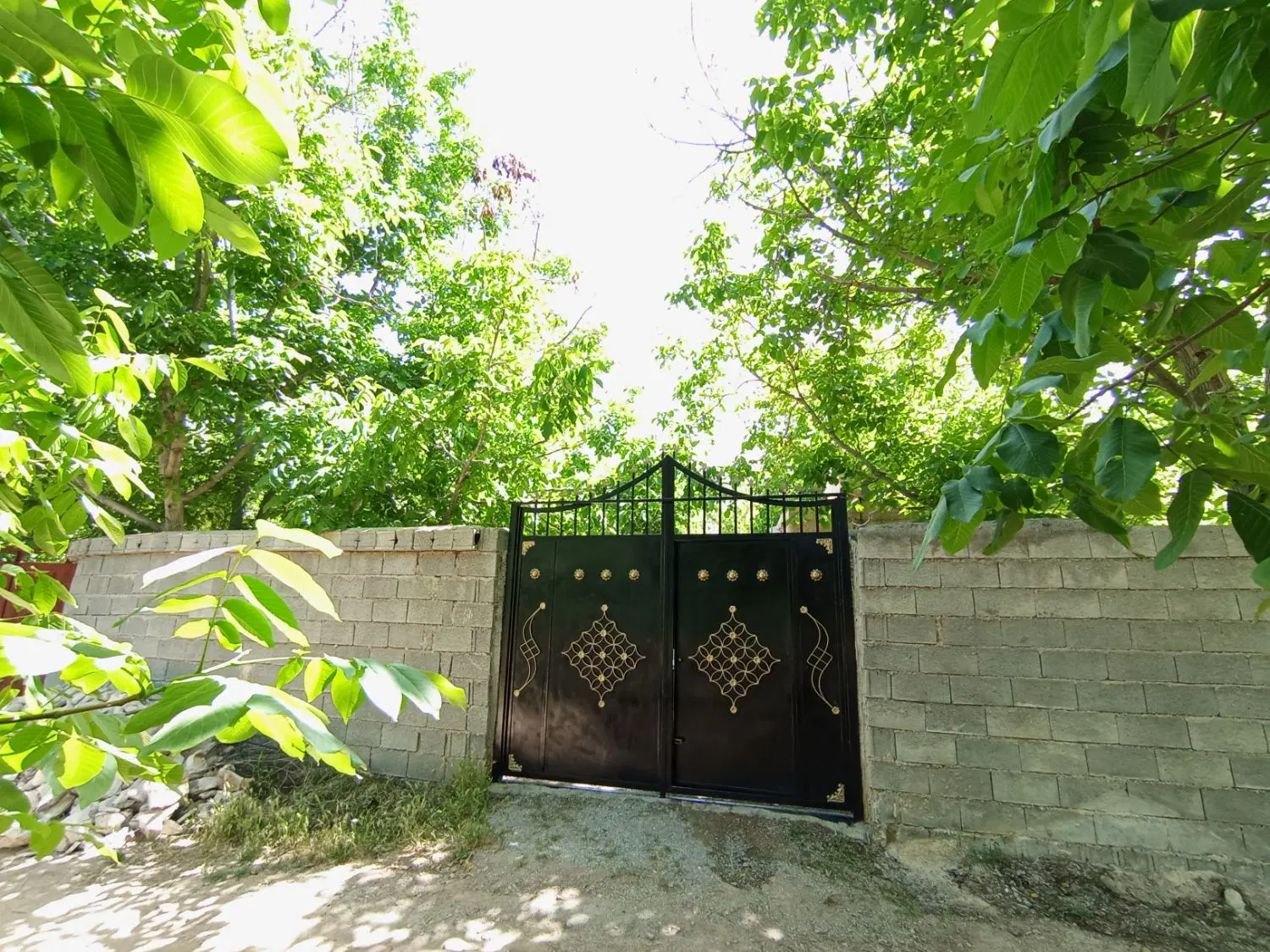 باغ فاروق