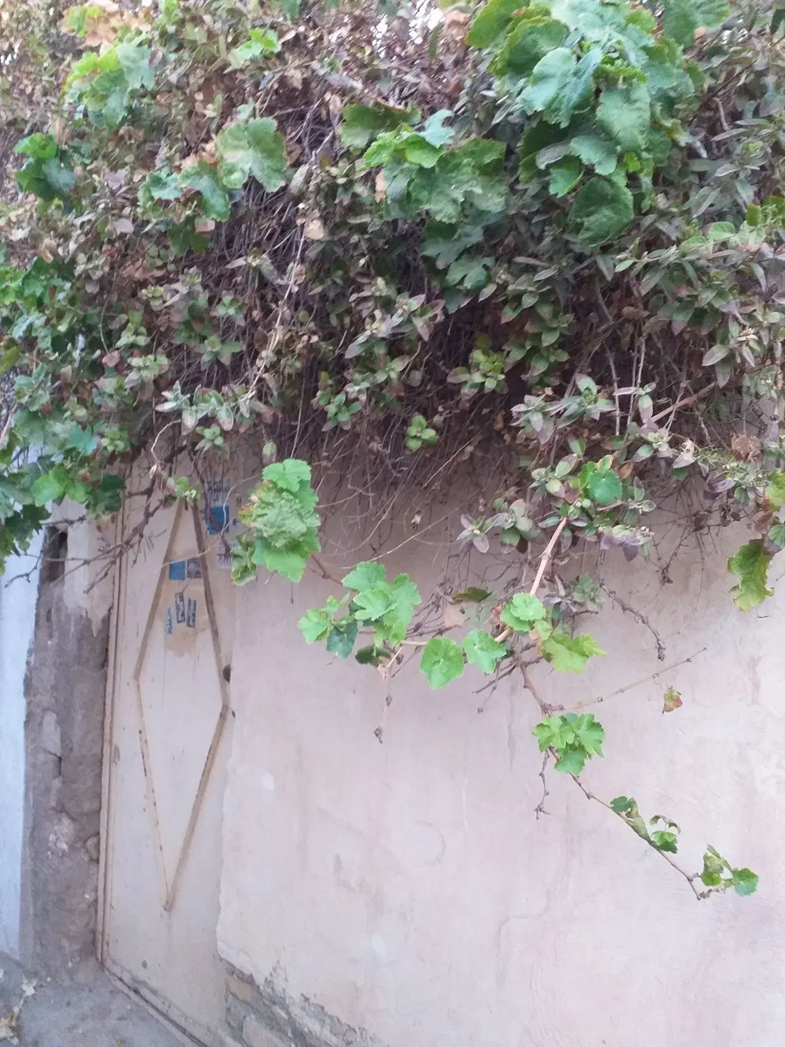 خانه فروشی