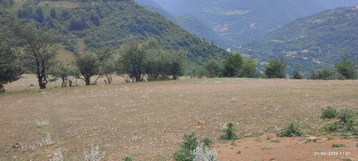 زمین ییلاقی