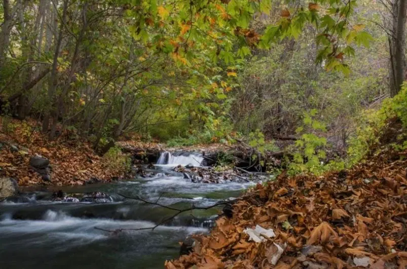 باغ ۵۰۰متری در کوهساران طرقبه