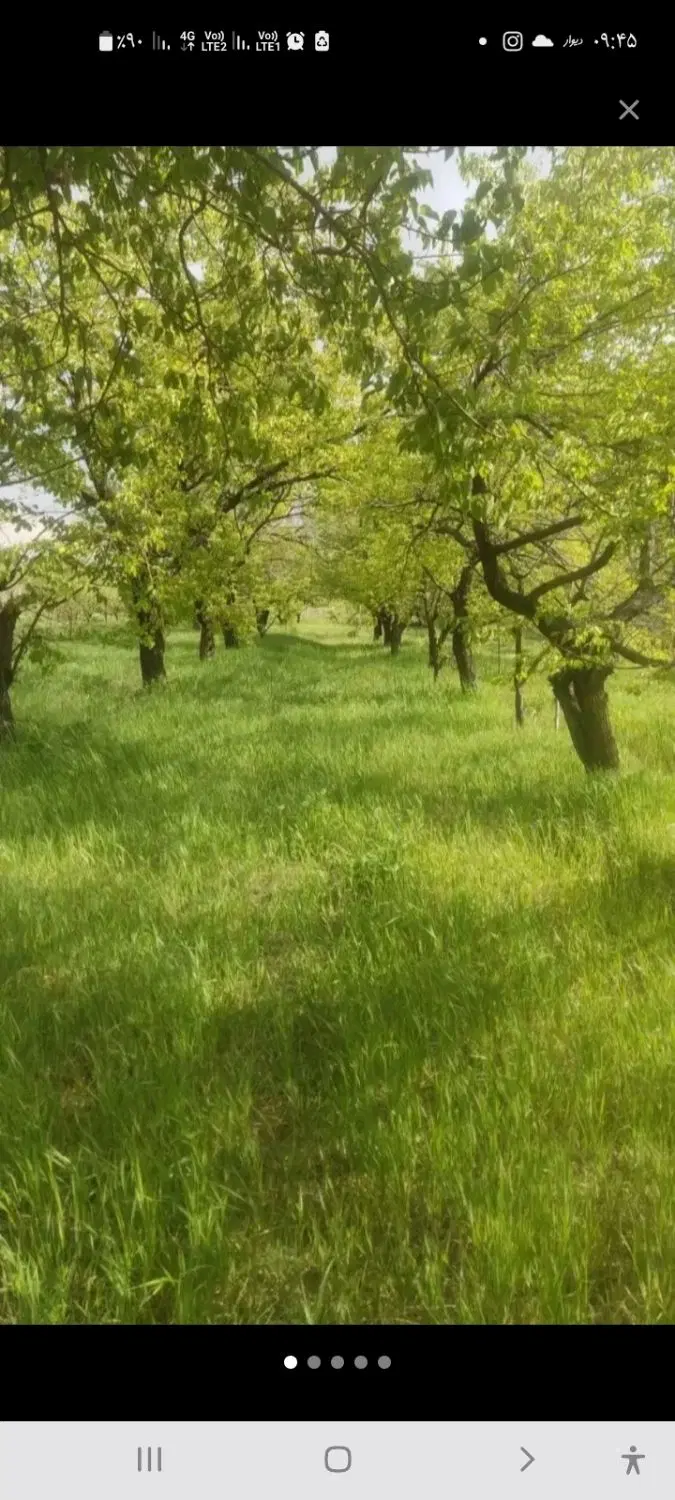 زمین جهت ساخت ویلا باغ ۱۲۰۰ متر