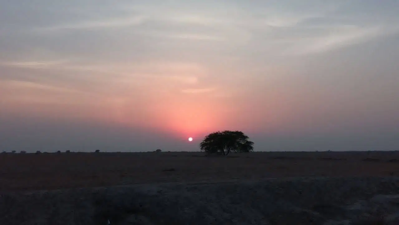 فروش زمین بطونه ۵۰۰ متری