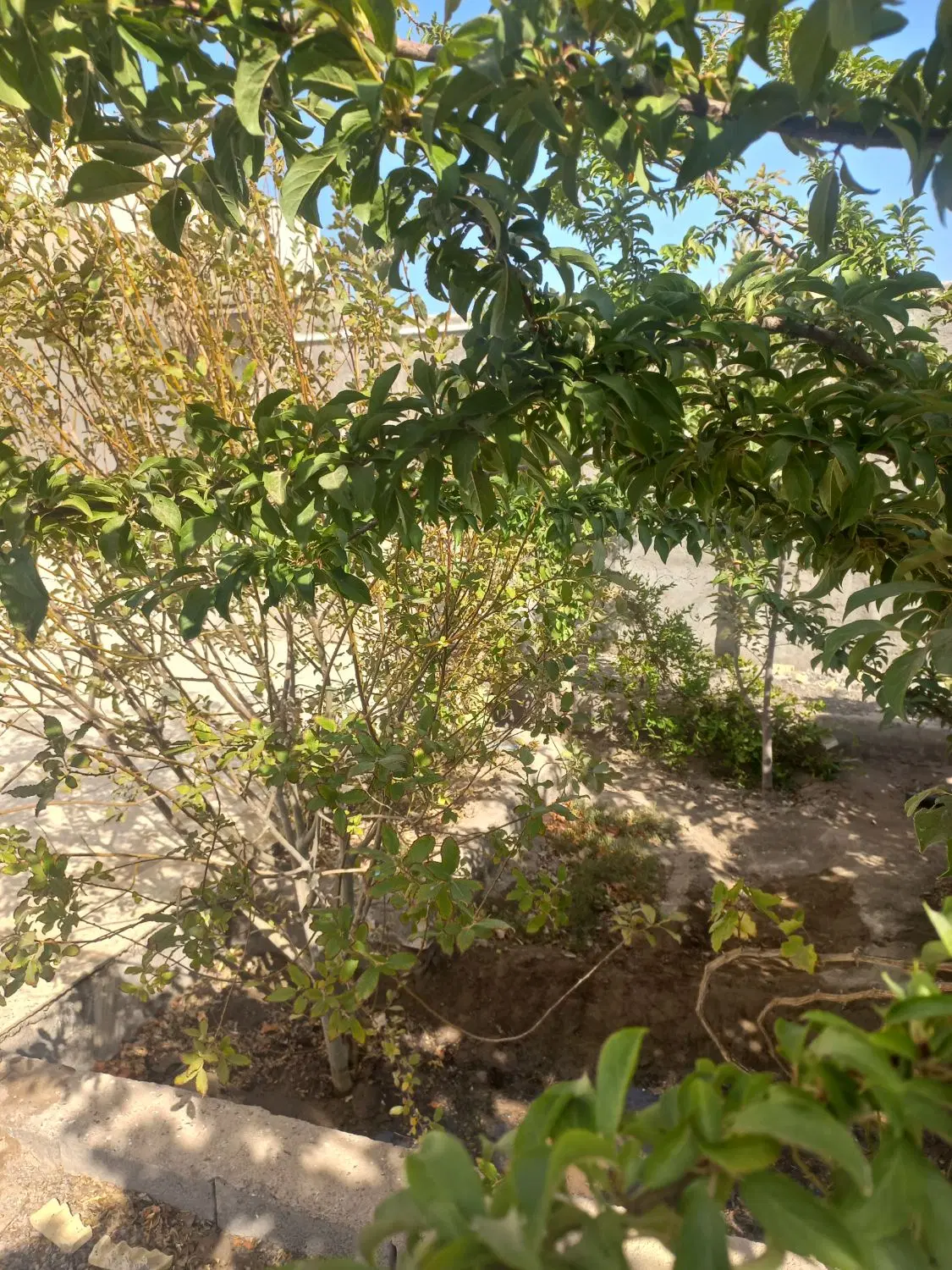 فروش خانه باغ ملک اباد