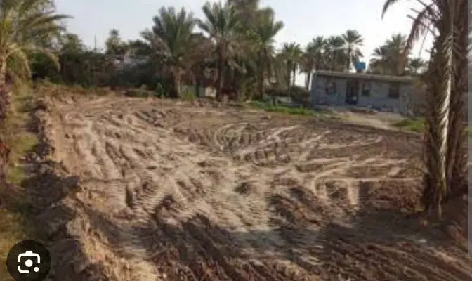زمین