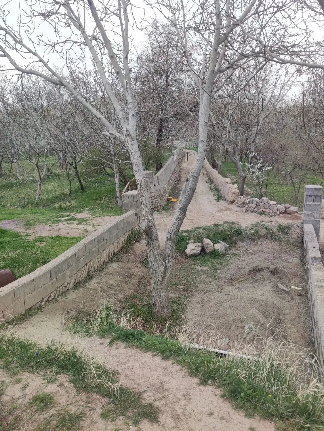 باغ در منطقه ویلایی اسکو