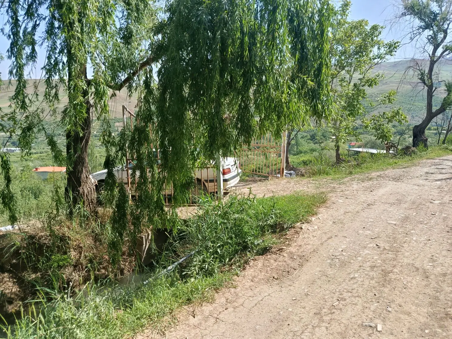 باغ گلدشت باغهای سرسبز برافتاب