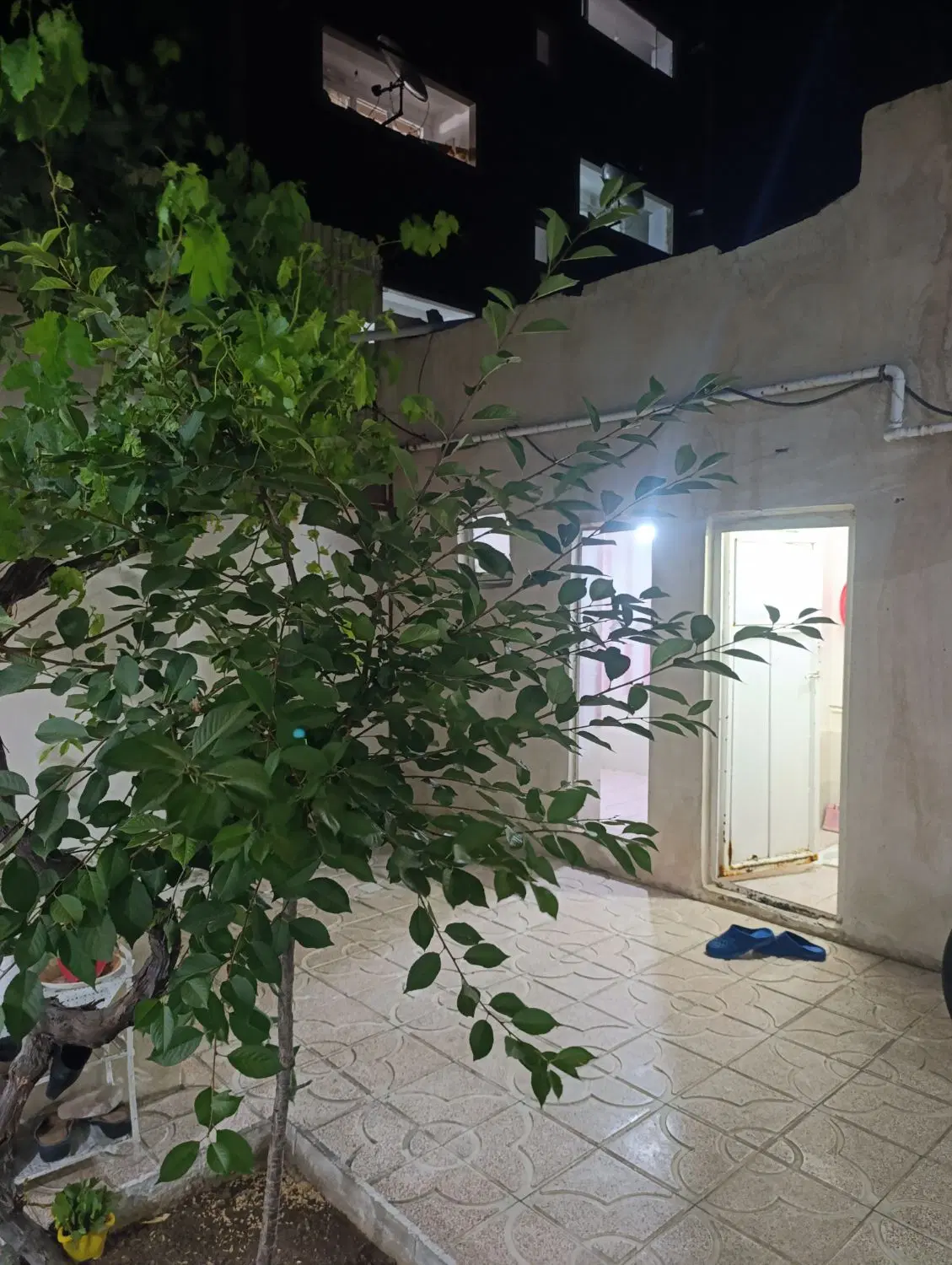 رهن اجاره حیاط توکلی