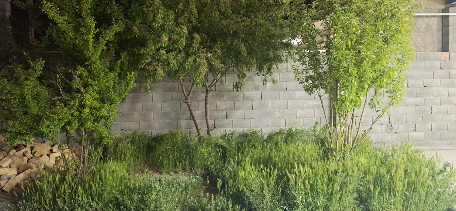 زمین مسکونی  سورشجان