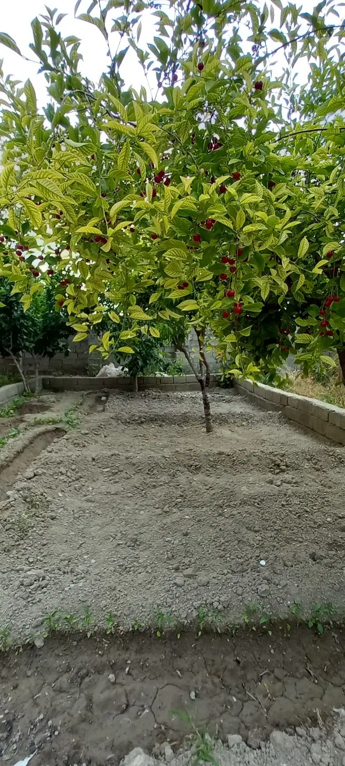 خانه ای به مساحت۳۷۰