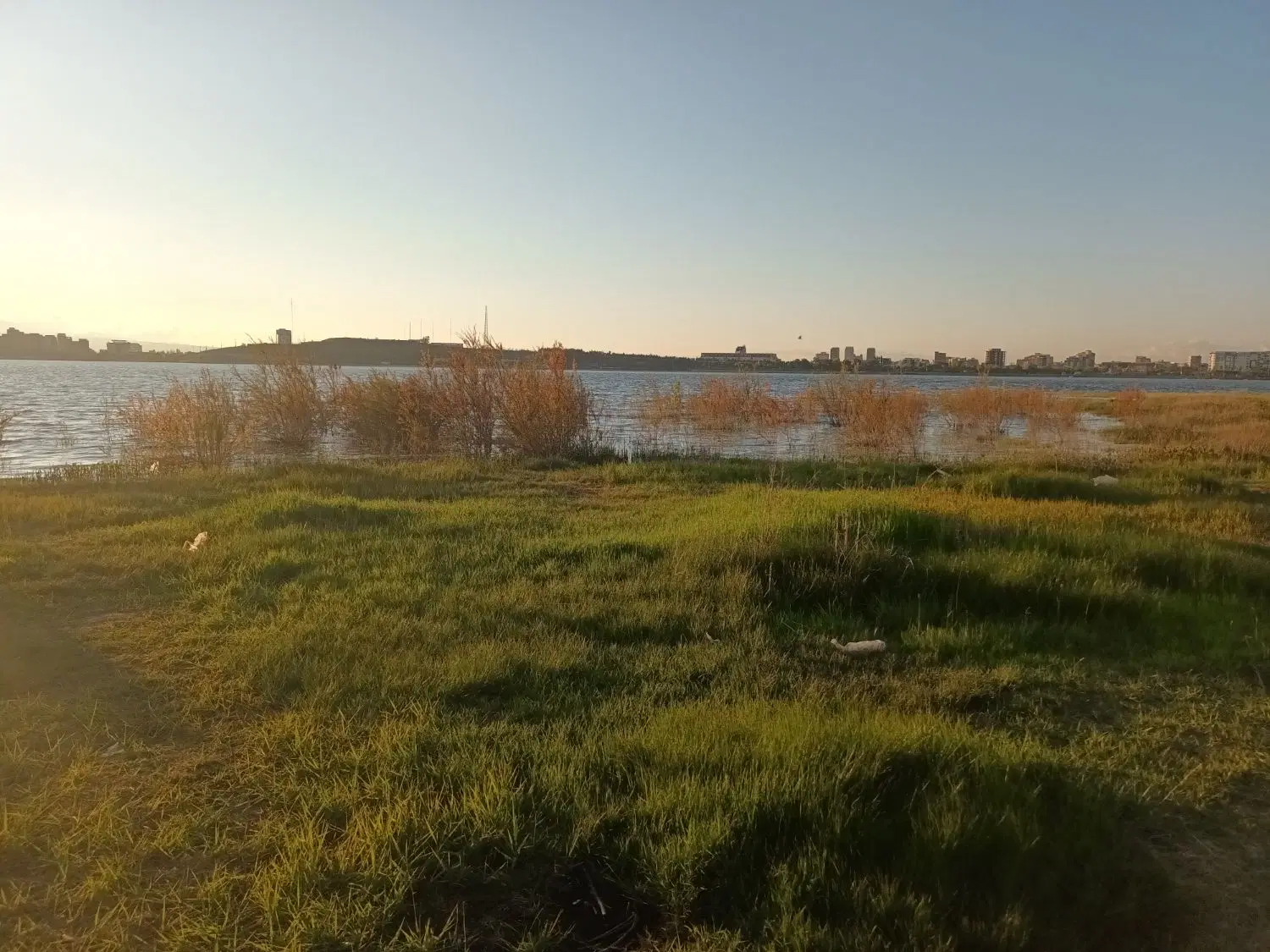 زمین کارگران شهرداری فاز۱
