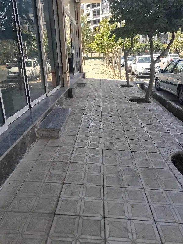 ۱۵۰متر ۳دانگ درعلویه