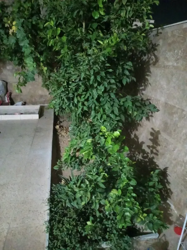 زمین وزیرآباد