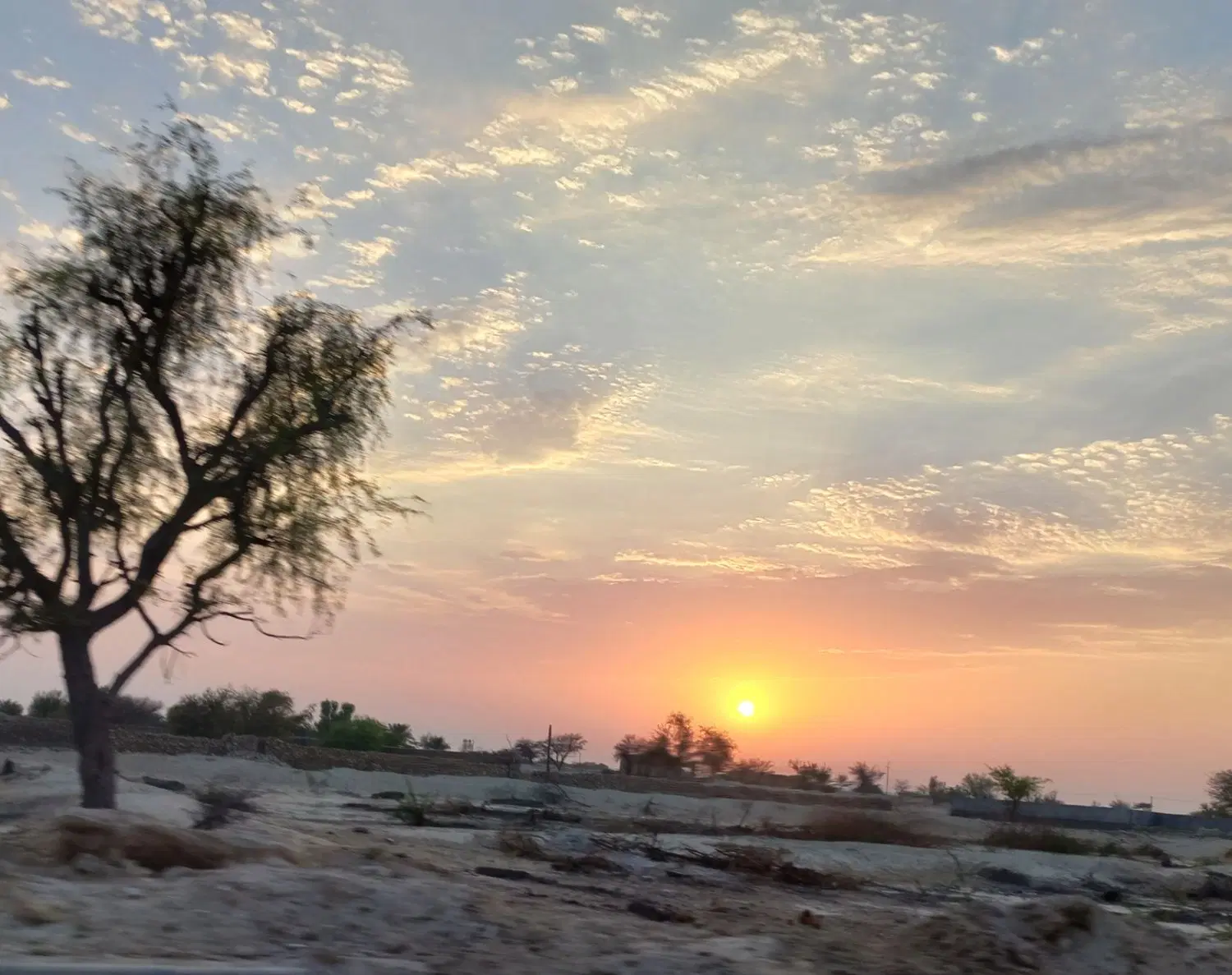 فروش زمین