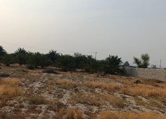 قطعه3_300متری در شهر زیبای کلکودی